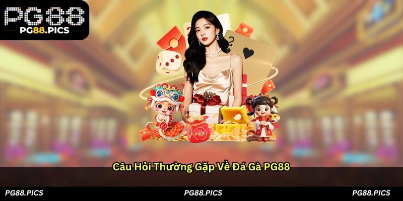 Câu hỏi thường gặp về Đá gà PG88